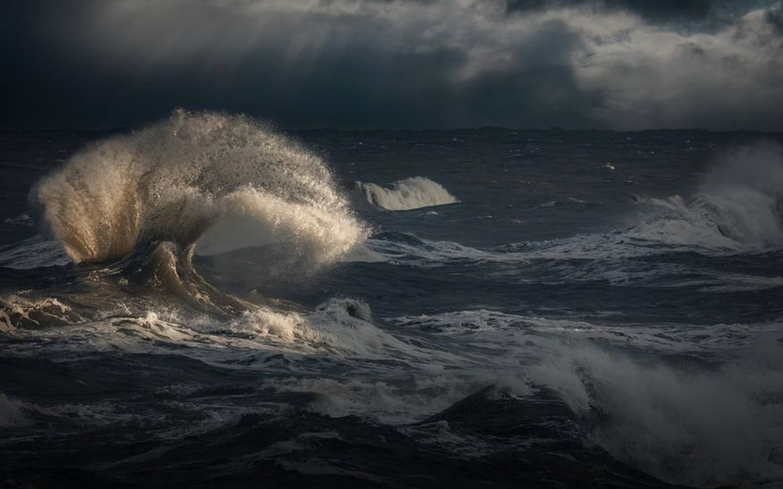 A powerful wave rising beneath a dark coastal sky.