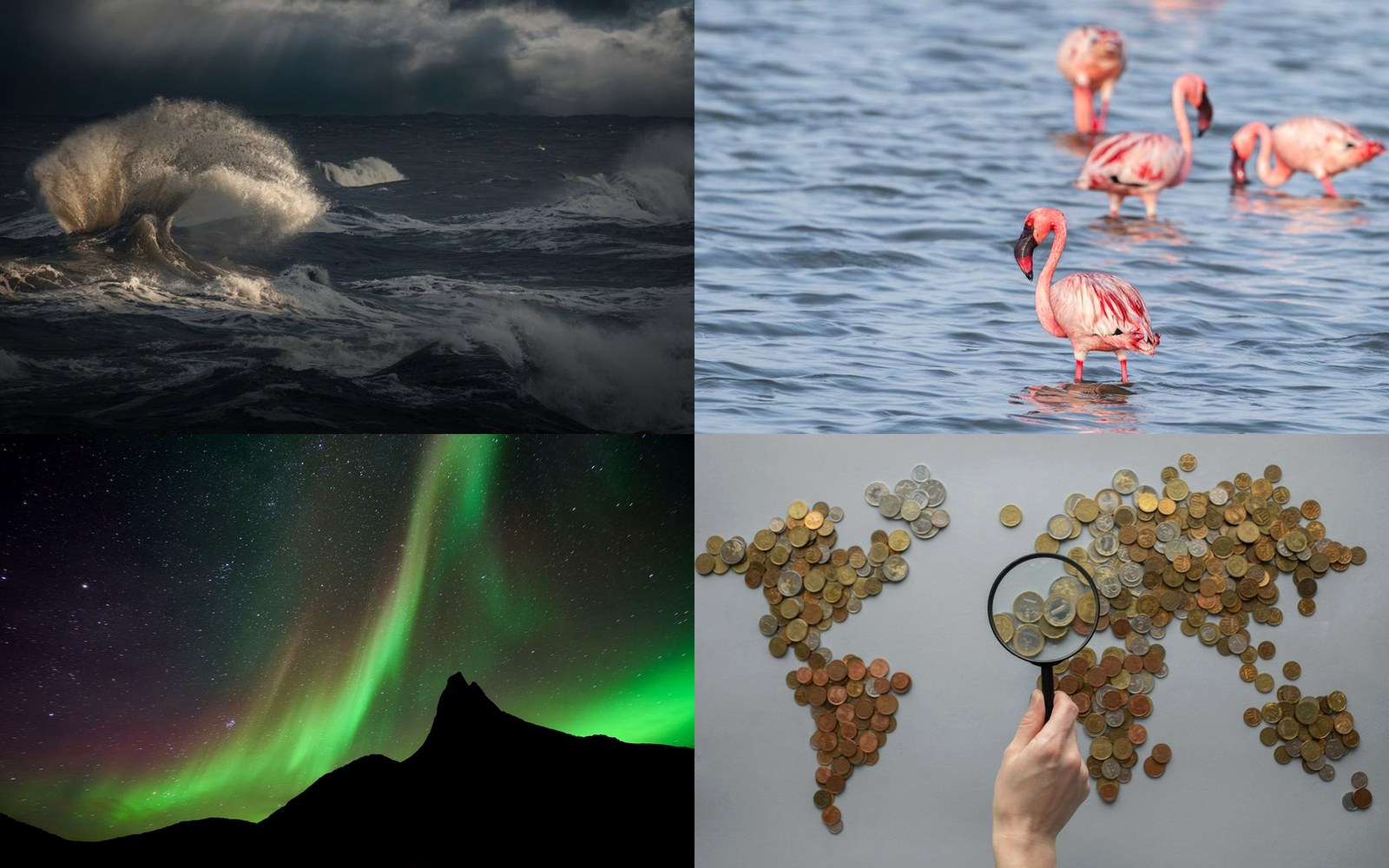 A four-part editorial collage showing coast, flamingos, aurora, and a map.